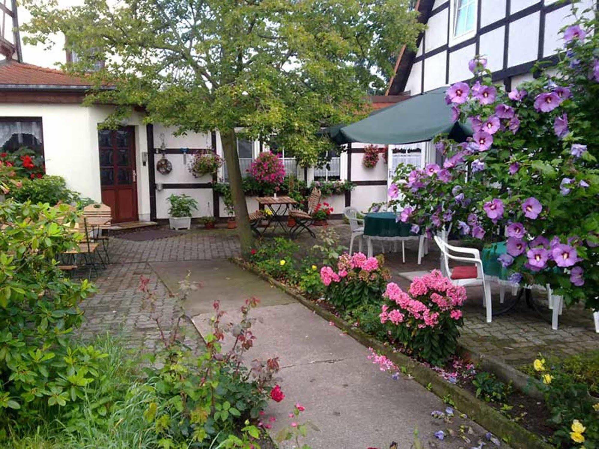 Pension Am Stadtrand Zerbst Kültér fotó